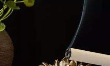 艾烟的功效与作用介绍
