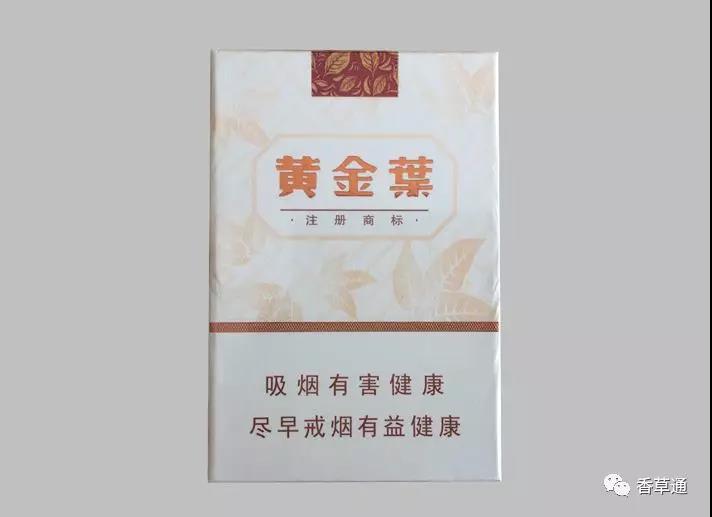 黄金叶（天韵）