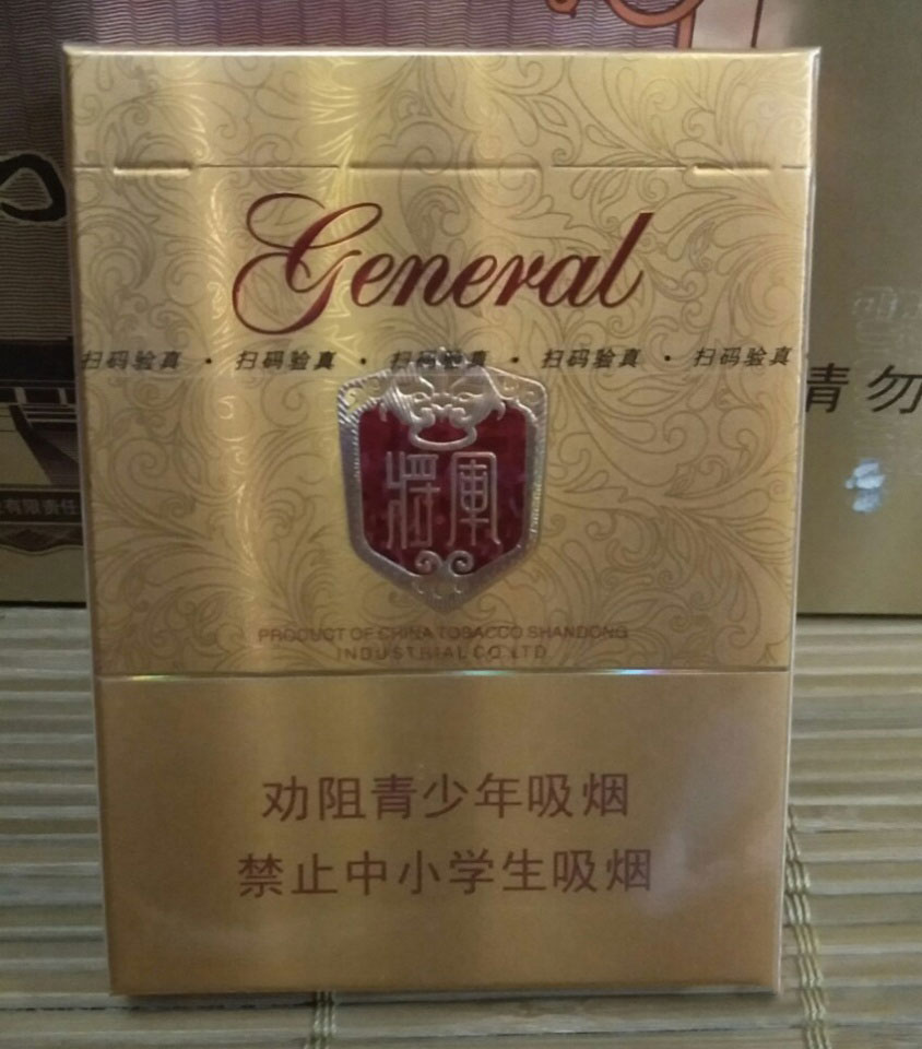 中支金将军